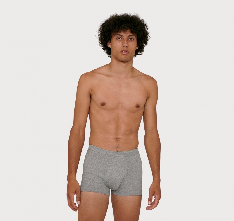Organic Basics ORGANIC COTTON True Rib Boxers 2-pack Grijs | 75032-DYZI