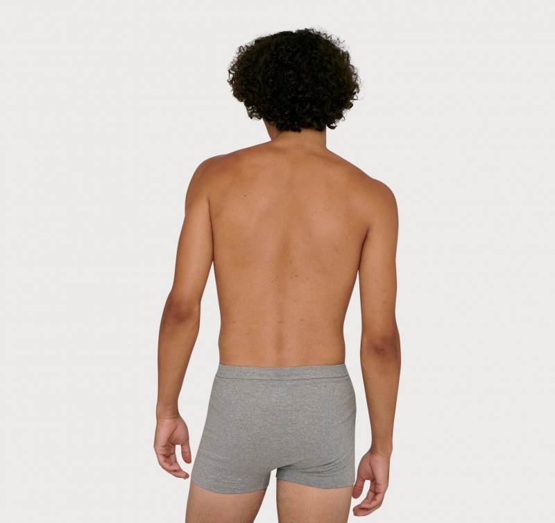 Organic Basics ORGANIC COTTON True Rib Boxers 2-pack Grijs | 75032-DYZI