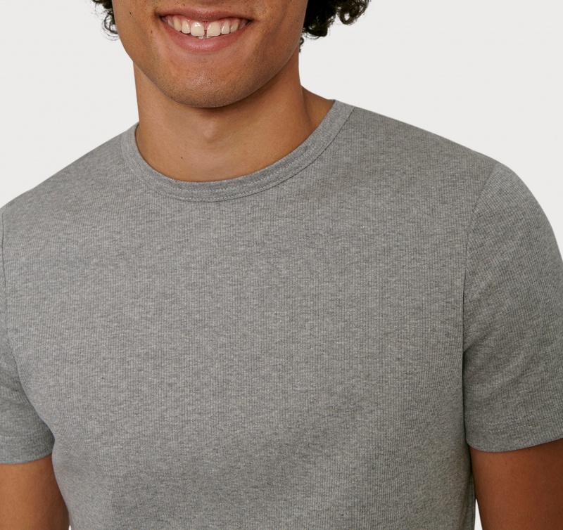 Organic Basics ORGANIC COTTON True Rib Tee Grijs | 26479-ZRMC