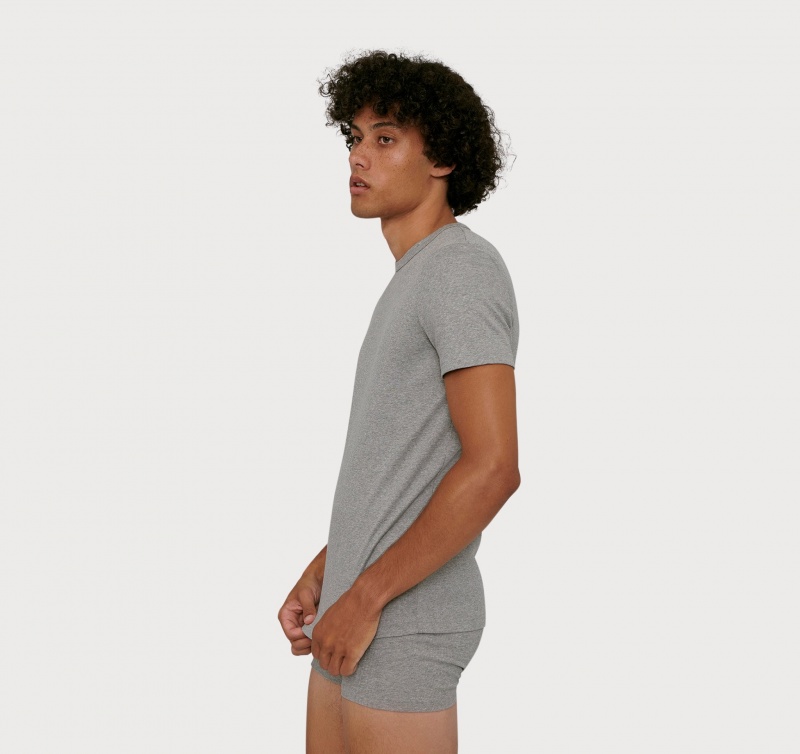 Organic Basics ORGANIC COTTON True Rib Tee Grijs | 26479-ZRMC
