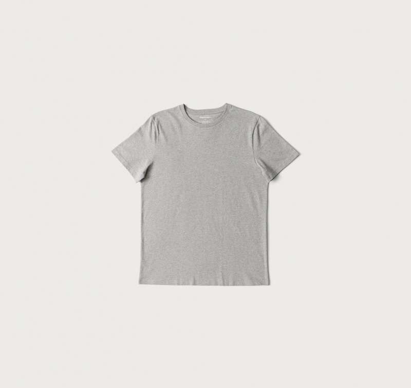 Organic Basics ORGANIC COTTON True Tee Grijs | 41023-OAJM