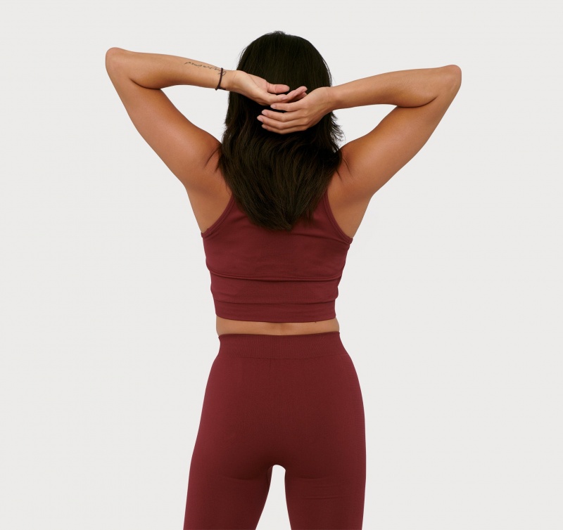 Organic Basics RECYCLED NYLON Active Crop Top Bordeaux | 18305-KXVO