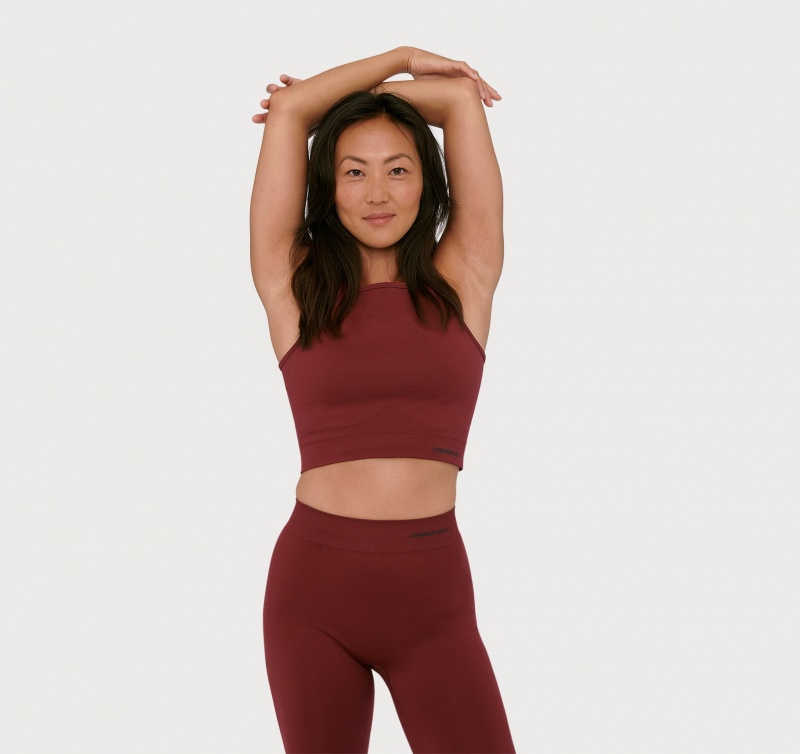 Organic Basics RECYCLED NYLON Active Crop Top Bordeaux | 18305-KXVO