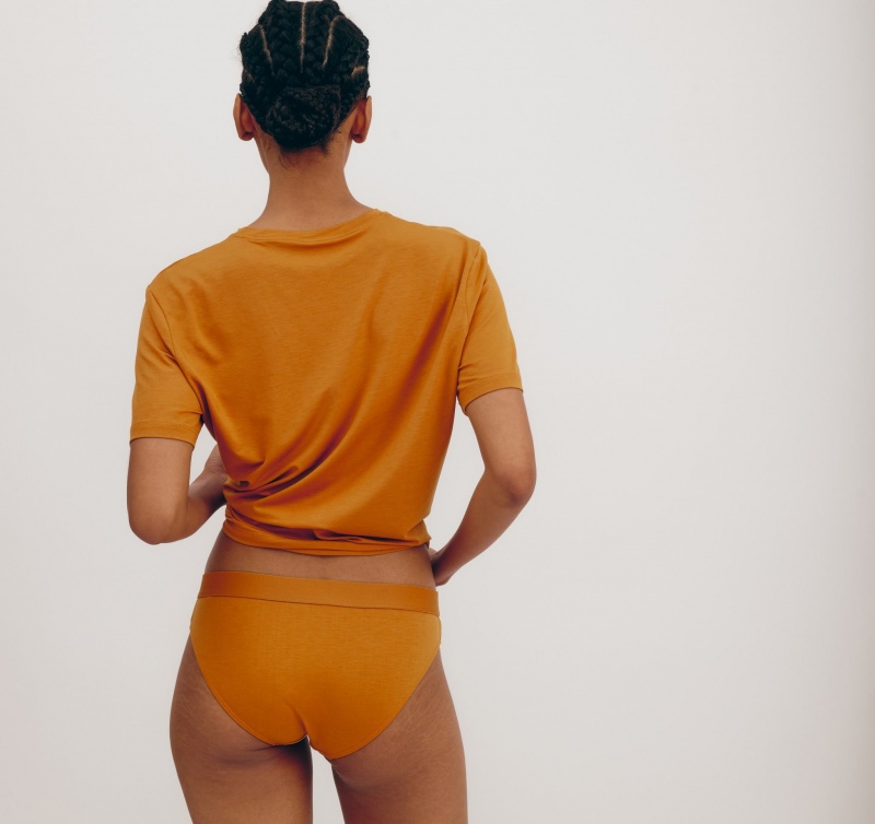 Organic Basics TENCEL™ LYOCELL Soft Touch Briefs 2-pack Ocher | 79845-CTPE